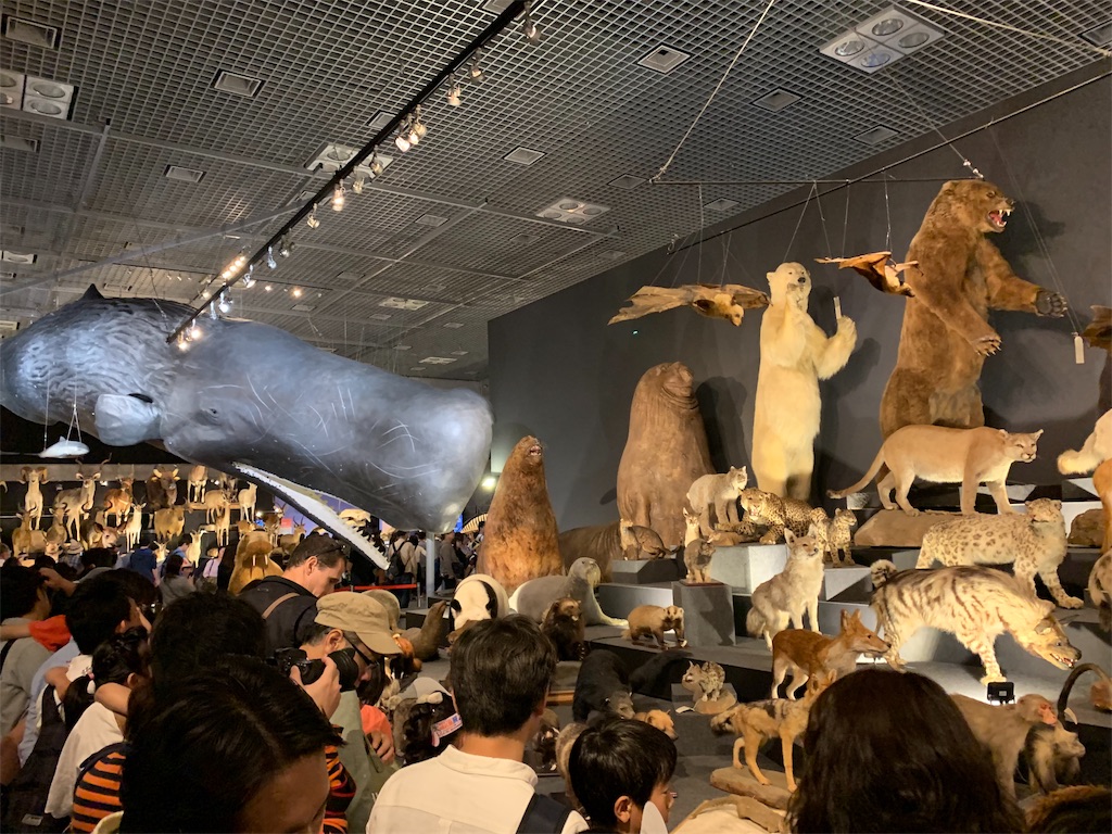 f:id:GK_GK21:20190507121401j:image