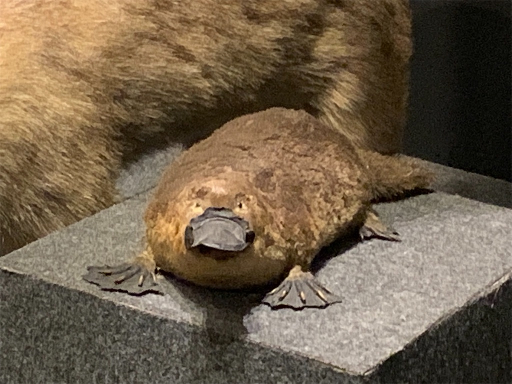 f:id:GK_GK21:20190507121437j:image