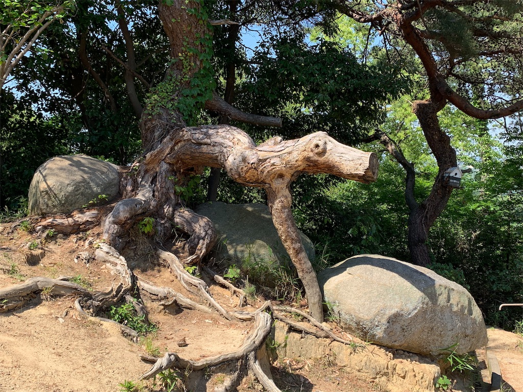 f:id:GK_GK21:20190528204136j:image