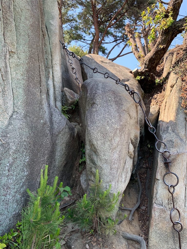 f:id:GK_GK21:20190528204144j:image