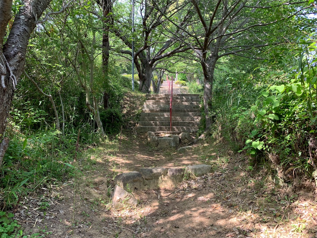 f:id:GK_GK21:20190607052137j:image f:id:GK_GK21:20190607052137j:image