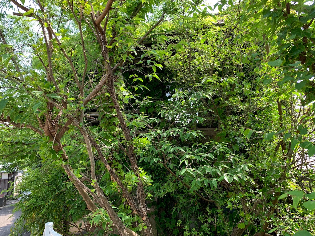 f:id:GK_GK21:20190607052223j:image f:id:GK_GK21:20190607052223j:image