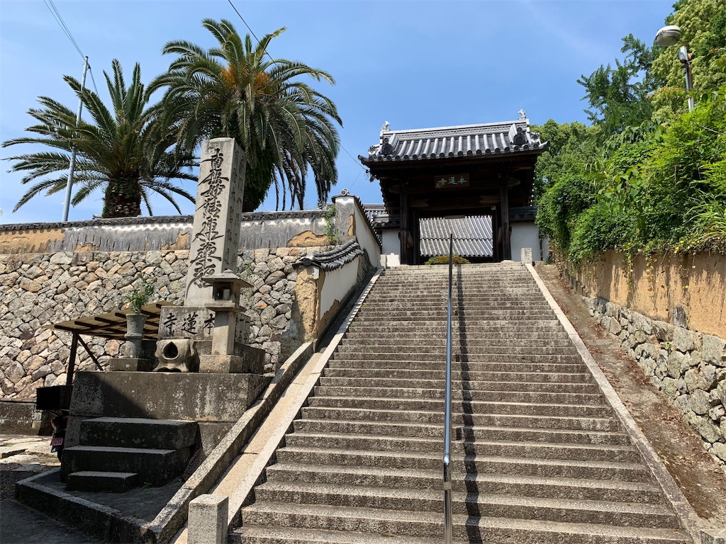 f:id:GK_GK21:20190607052234j:image f:id:GK_GK21:20190607052234j:image