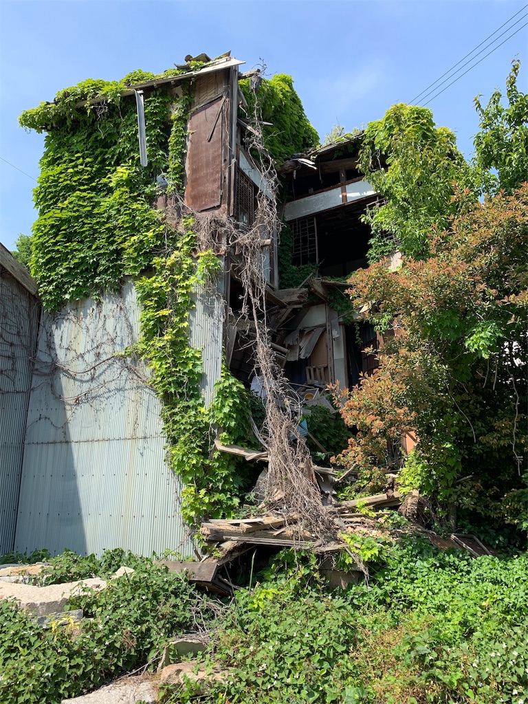 f:id:GK_GK21:20190607052310j:image f:id:GK_GK21:20190607052310j:image