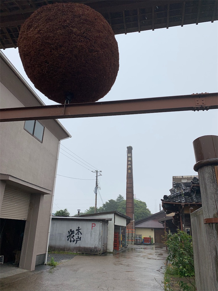f:id:GK_GK21:20190607141041j:image f:id:GK_GK21:20190607141041j:image