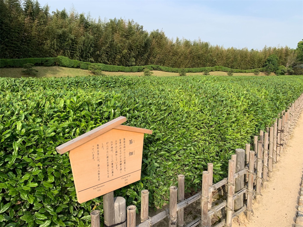 f:id:GK_GK21:20190608080726j:image f:id:GK_GK21:20190608080726j:image