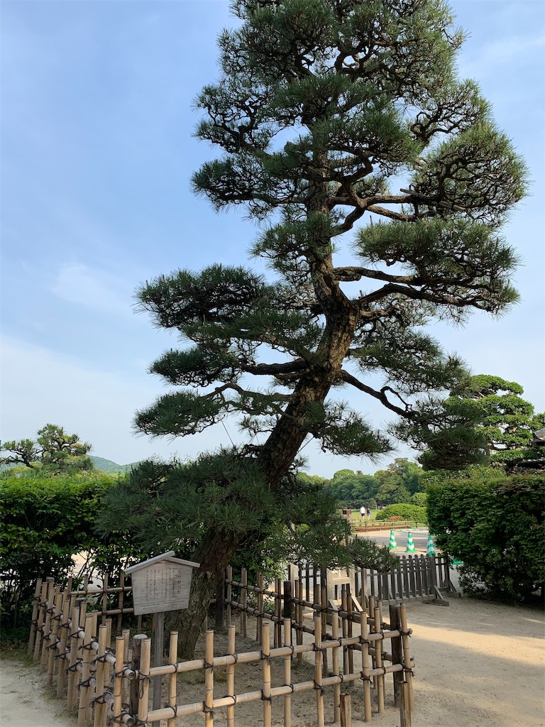 f:id:GK_GK21:20190608080900j:image f:id:GK_GK21:20190608080900j:image