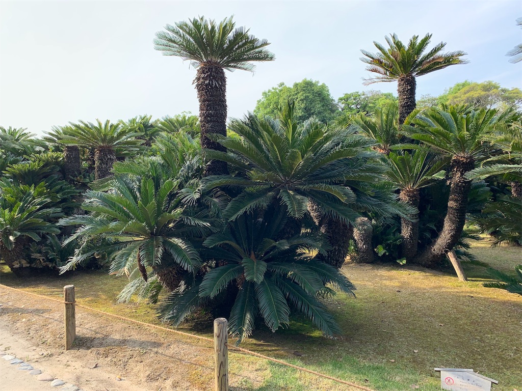 f:id:GK_GK21:20190608080906j:image f:id:GK_GK21:20190608080906j:image