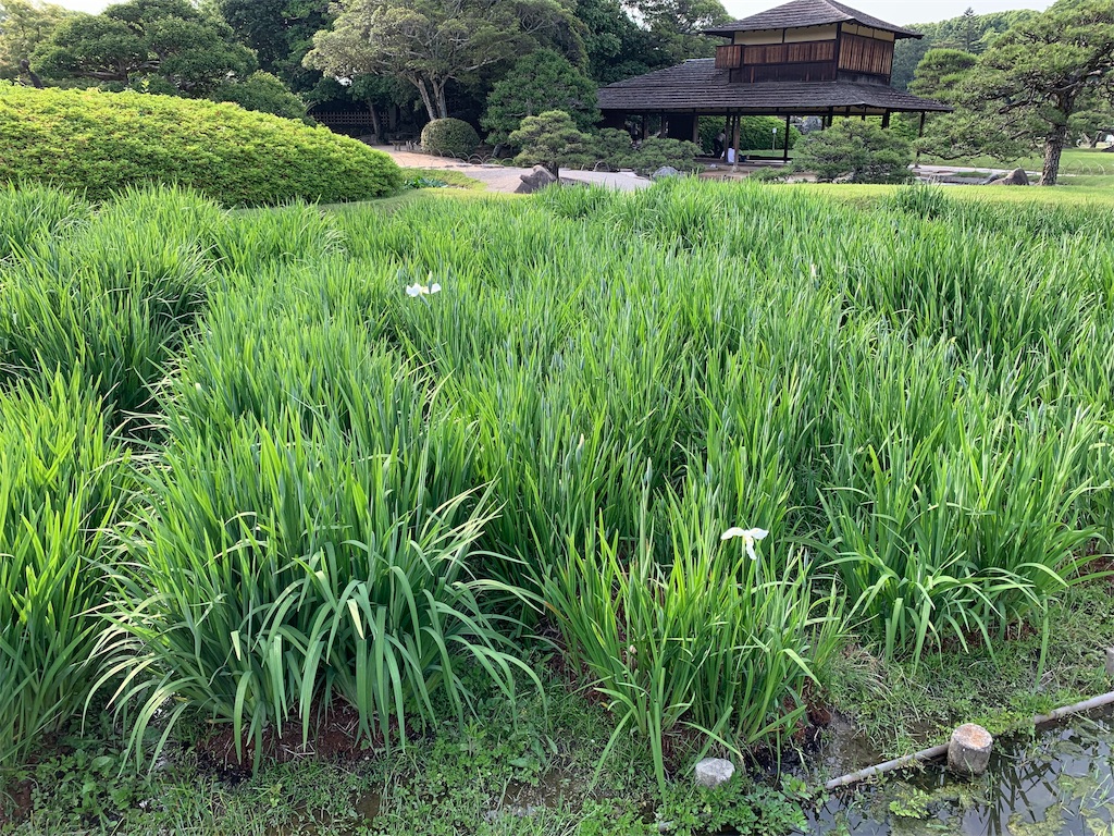 f:id:GK_GK21:20190608080925j:image f:id:GK_GK21:20190608080925j:image