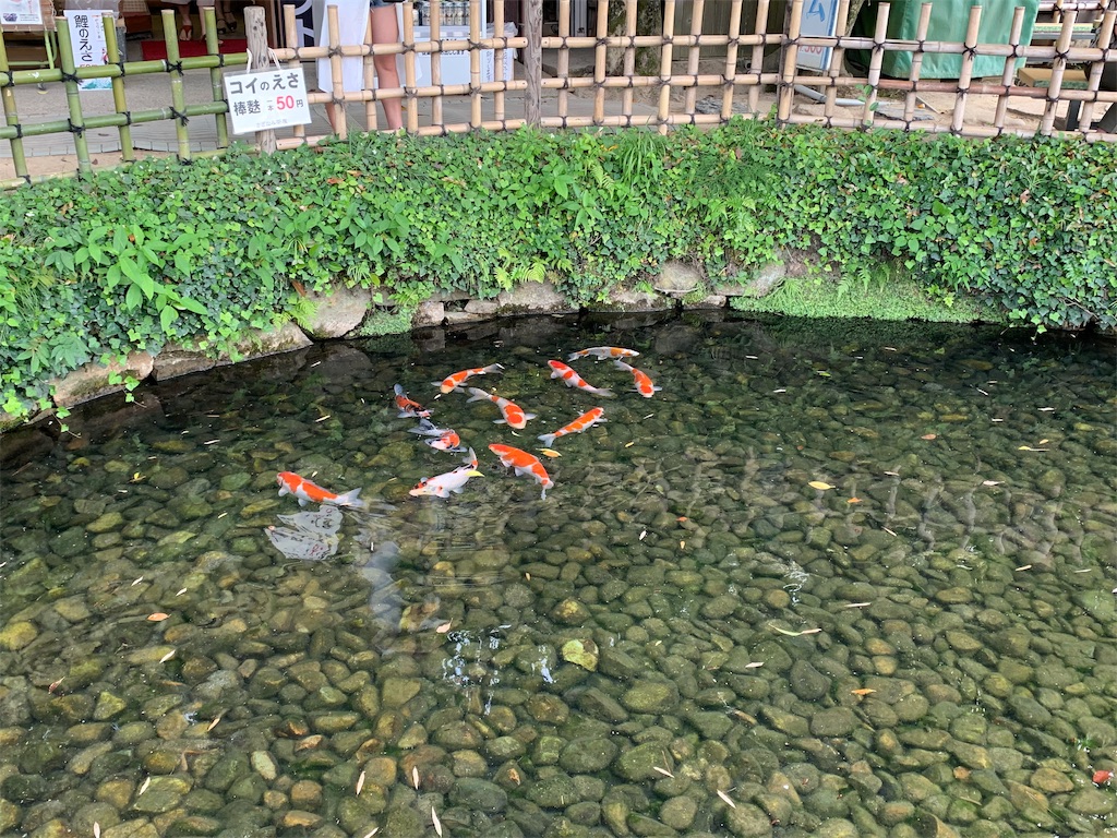 f:id:GK_GK21:20190608080928j:image f:id:GK_GK21:20190608080928j:image