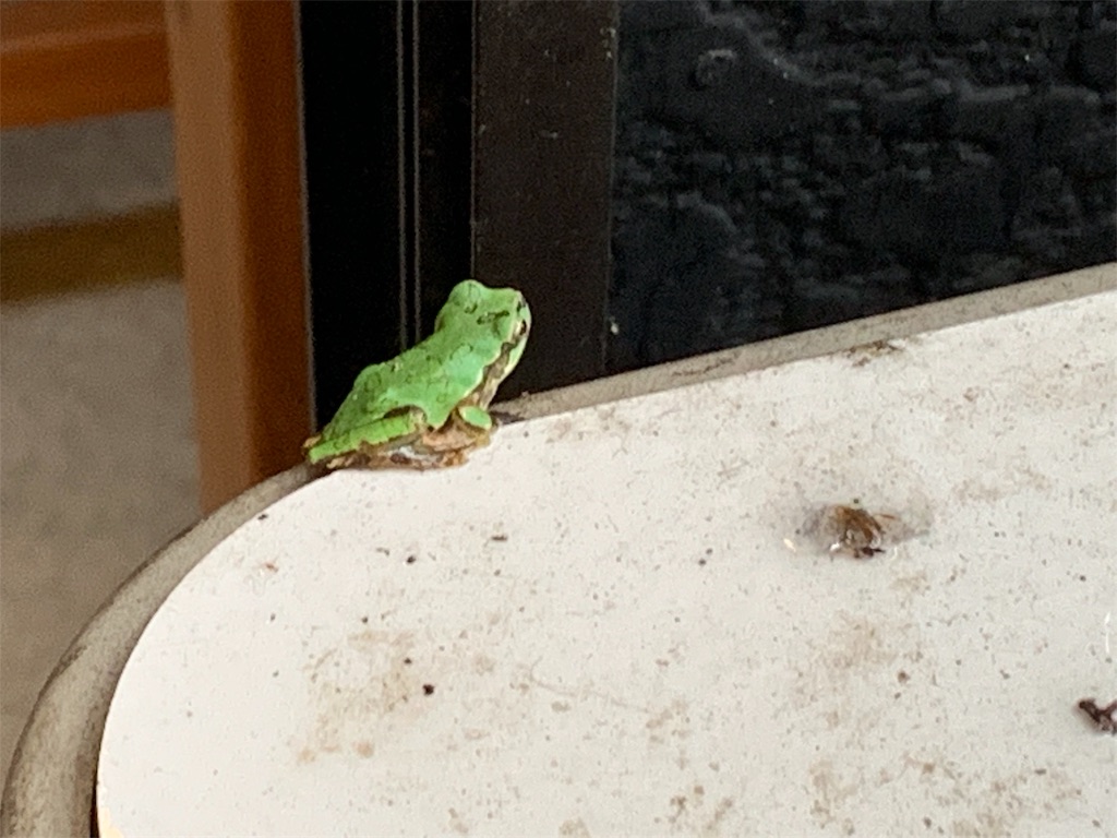 f:id:GK_GK21:20190701182124j:image