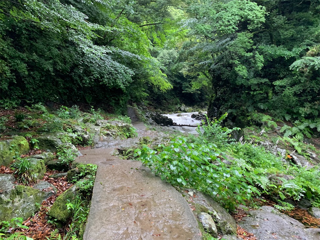 f:id:GK_GK21:20190703044224j:image f:id:GK_GK21:20190703044224j:image