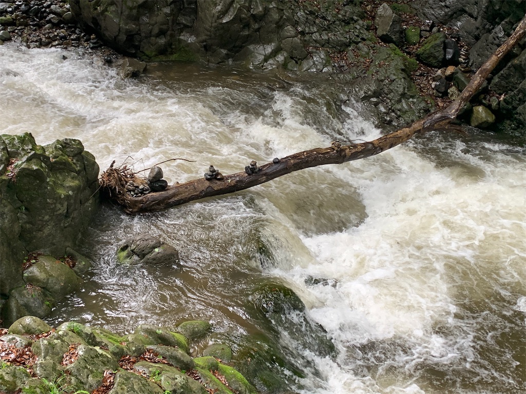 f:id:GK_GK21:20190703044326j:image f:id:GK_GK21:20190703044326j:image