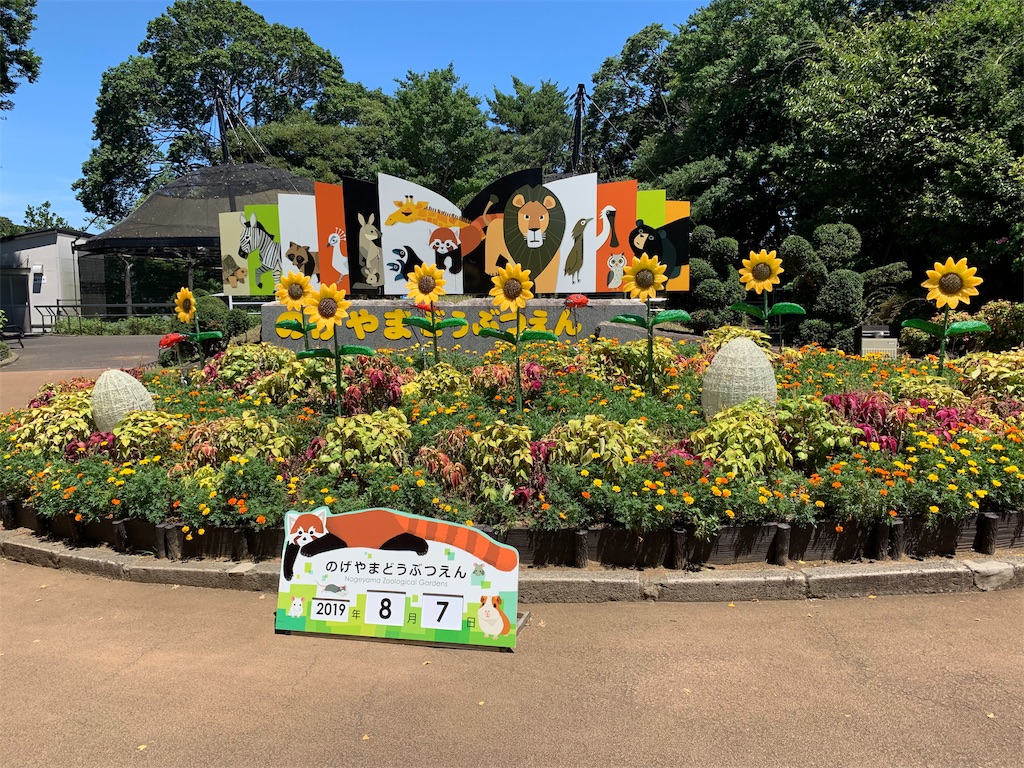 f:id:GK_GK21:20190807163643j:image