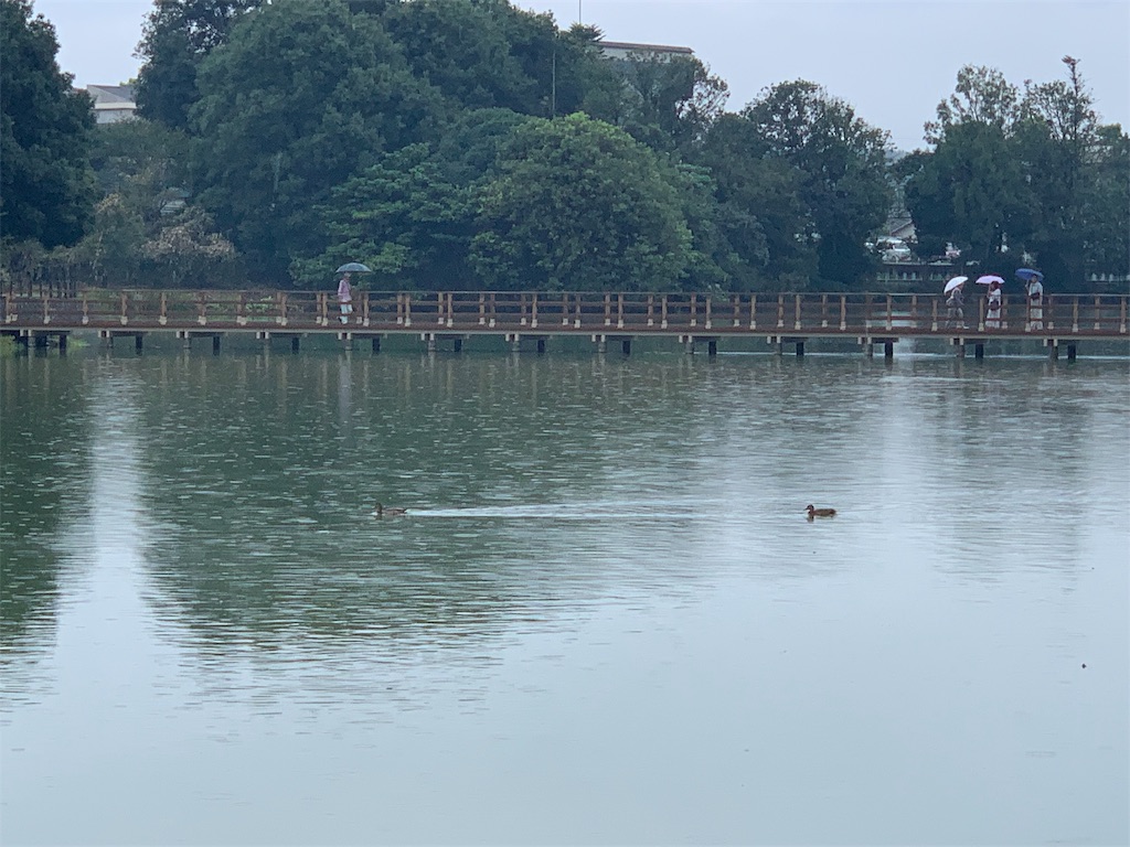 f:id:GK_GK21:20190916213401j:image f:id:GK_GK21:20190916213401j:image