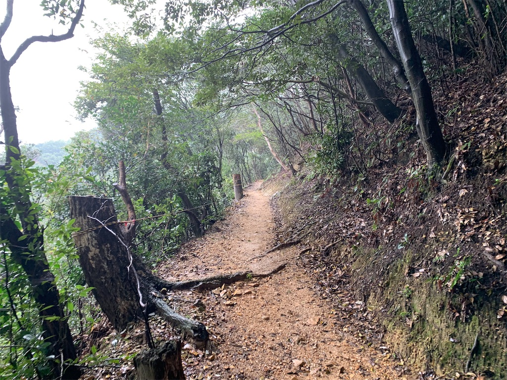 f:id:GK_GK21:20190916213419j:image f:id:GK_GK21:20190916213419j:image