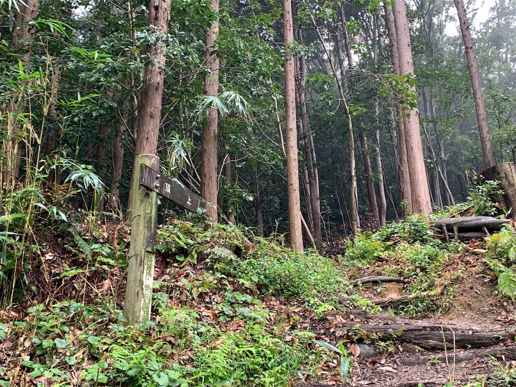 f:id:GK_GK21:20190916213437j:image f:id:GK_GK21:20190916213437j:image