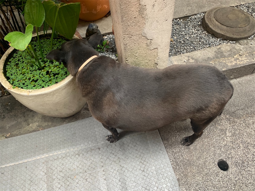 f:id:GK_GK21:20191014210111j:image