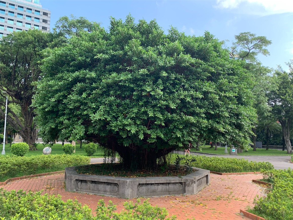 f:id:GK_GK21:20191016063907j:image f:id:GK_GK21:20191016063907j:image