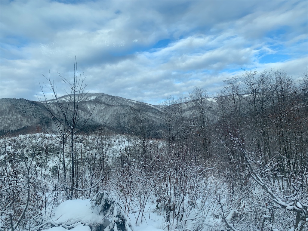 f:id:GK_GK21:20191229055059j:image f:id:GK_GK21:20191229055059j:image