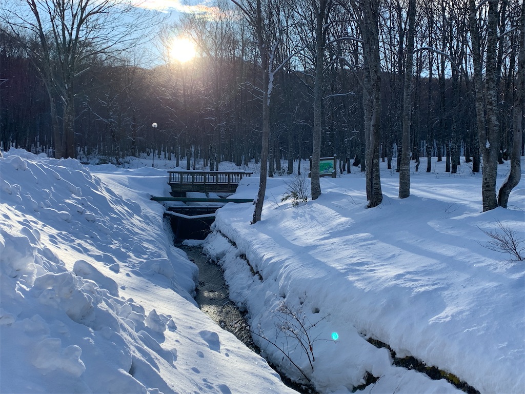f:id:GK_GK21:20191229055135j:image f:id:GK_GK21:20191229055135j:image