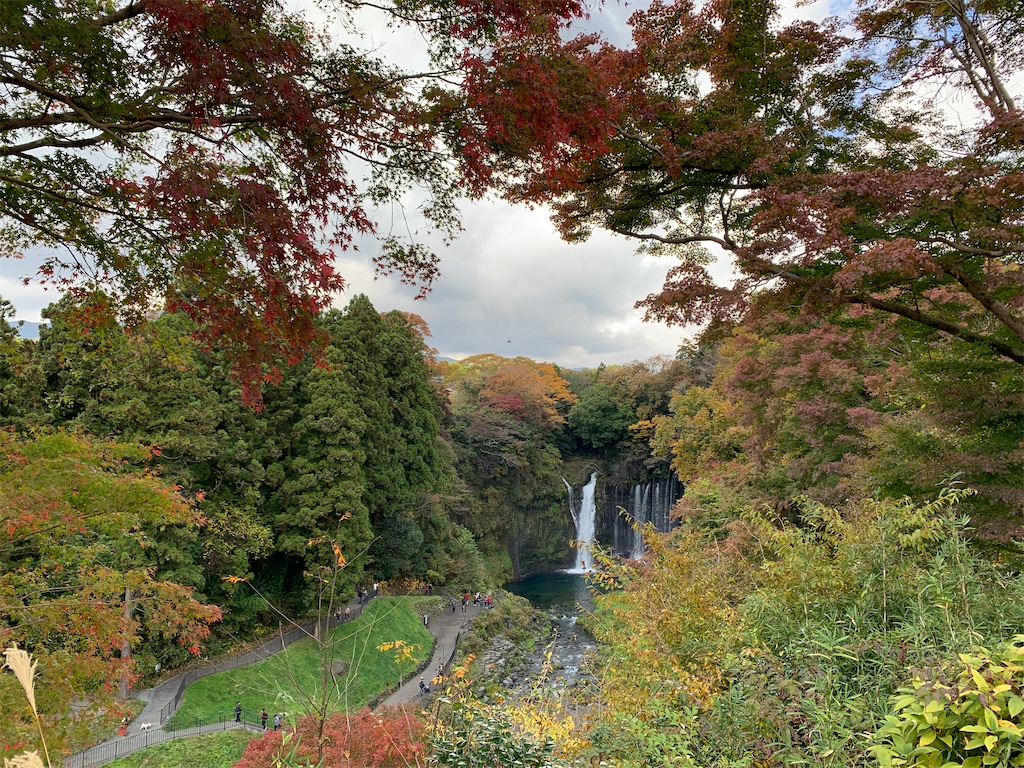 f:id:GK_GK21:20201124184232j:image f:id:GK_GK21:20201124184232j:image