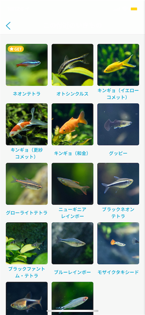 f:id:GK_GK21:20201124212609p:image f:id:GK_GK21:20201124212609p:image