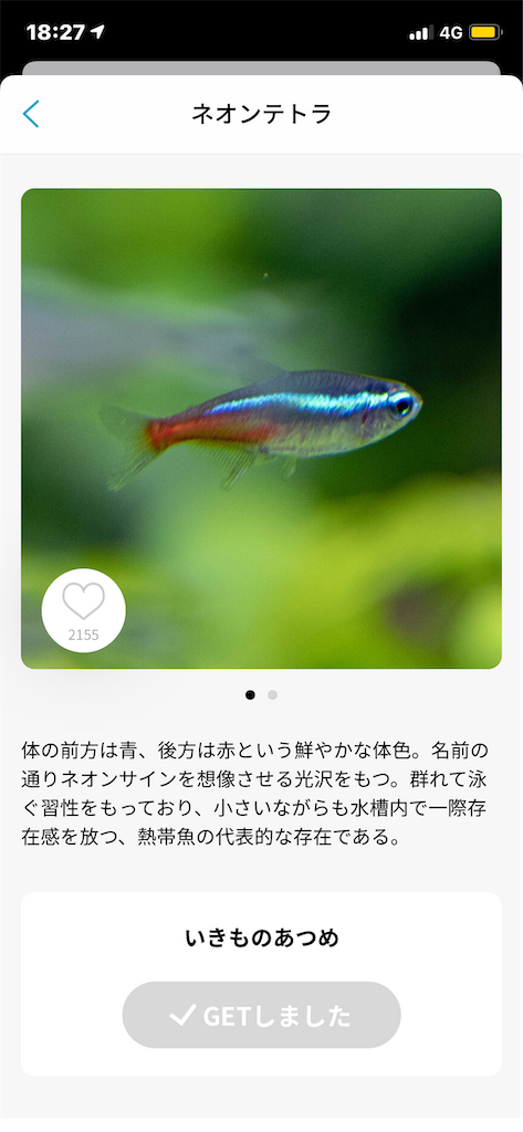 f:id:GK_GK21:20201124212746p:image f:id:GK_GK21:20201124212746p:image