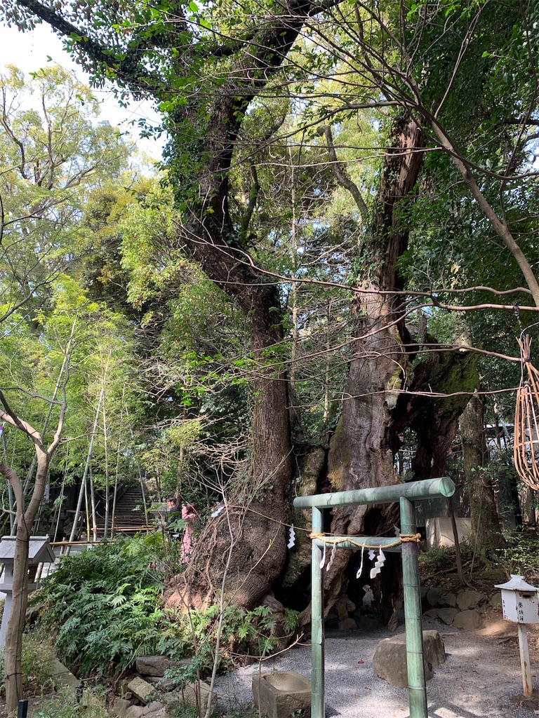 f:id:GK_GK21:20210323034804j:image