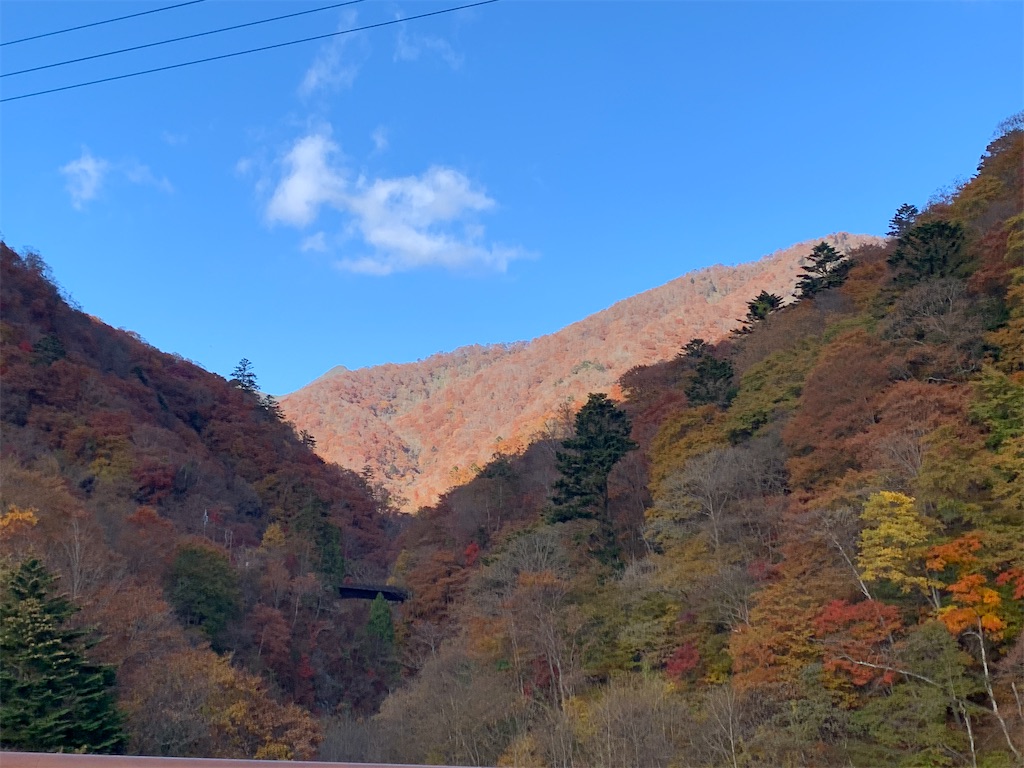 f:id:GK_GK21:20211108182410j:image