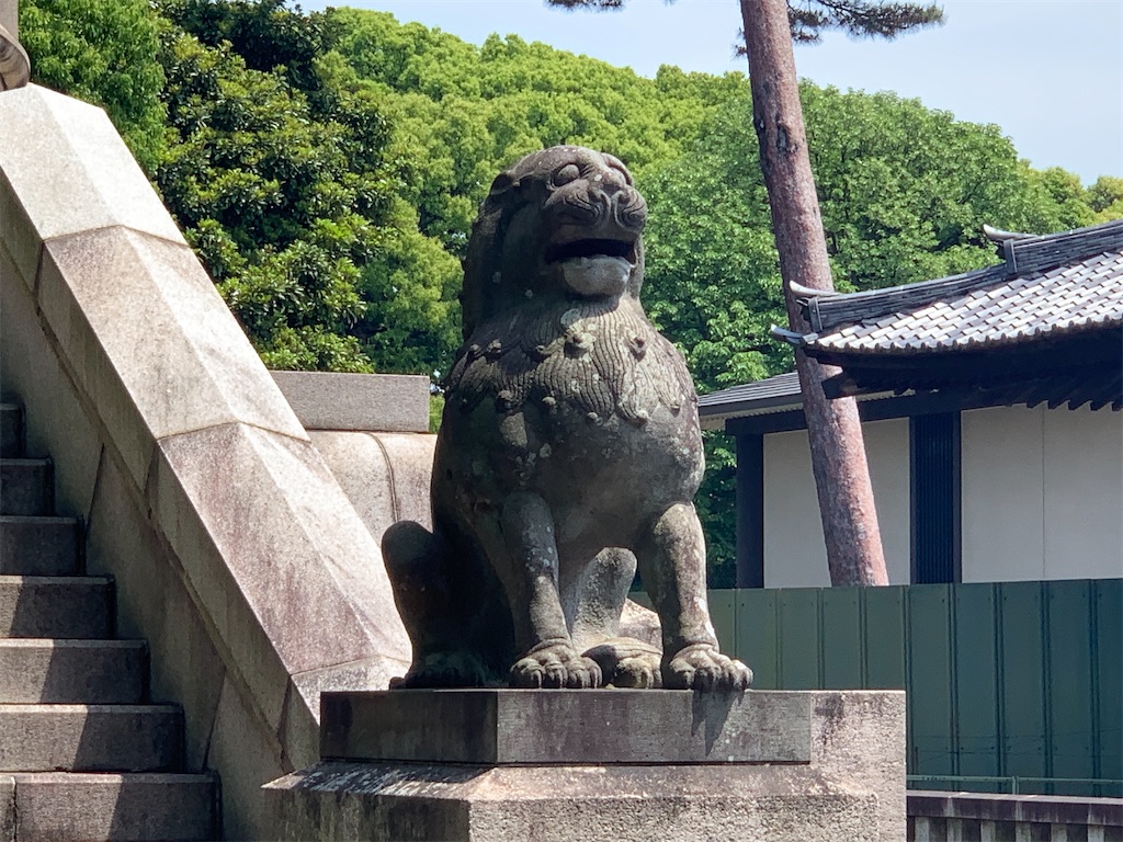 f:id:GK_GK21:20220507073616j:image