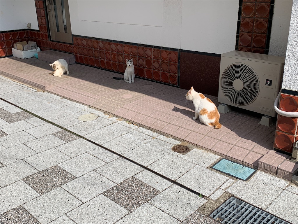 f:id:GK_GK21:20221024094859j:image f:id:GK_GK21:20221024094859j:image
