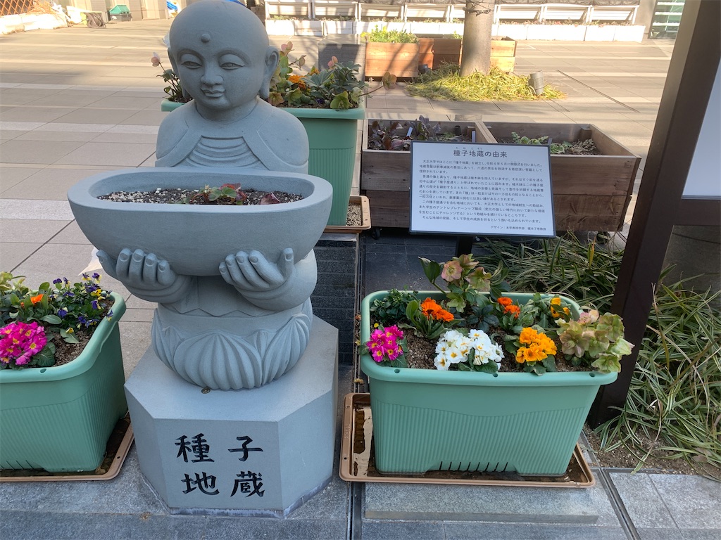 f:id:GK_GK21:20230129175242j:image