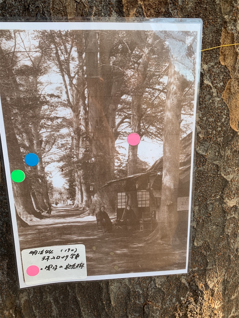 f:id:GK_GK21:20230130201935j:image f:id:GK_GK21:20230130201935j:image