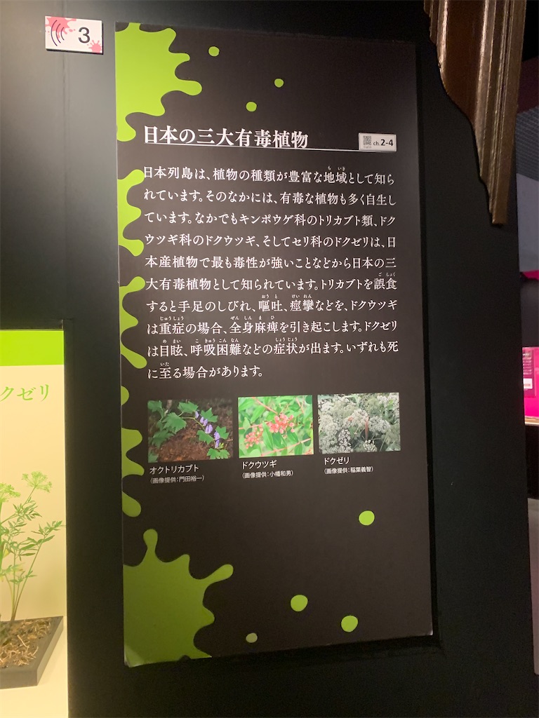 f:id:GK_GK21:20230218031330j:image
