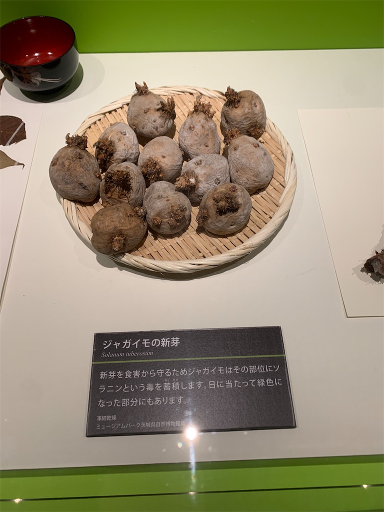f:id:GK_GK21:20230218031336j:image