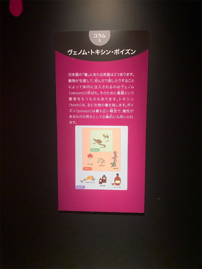 f:id:GK_GK21:20230218031342j:image