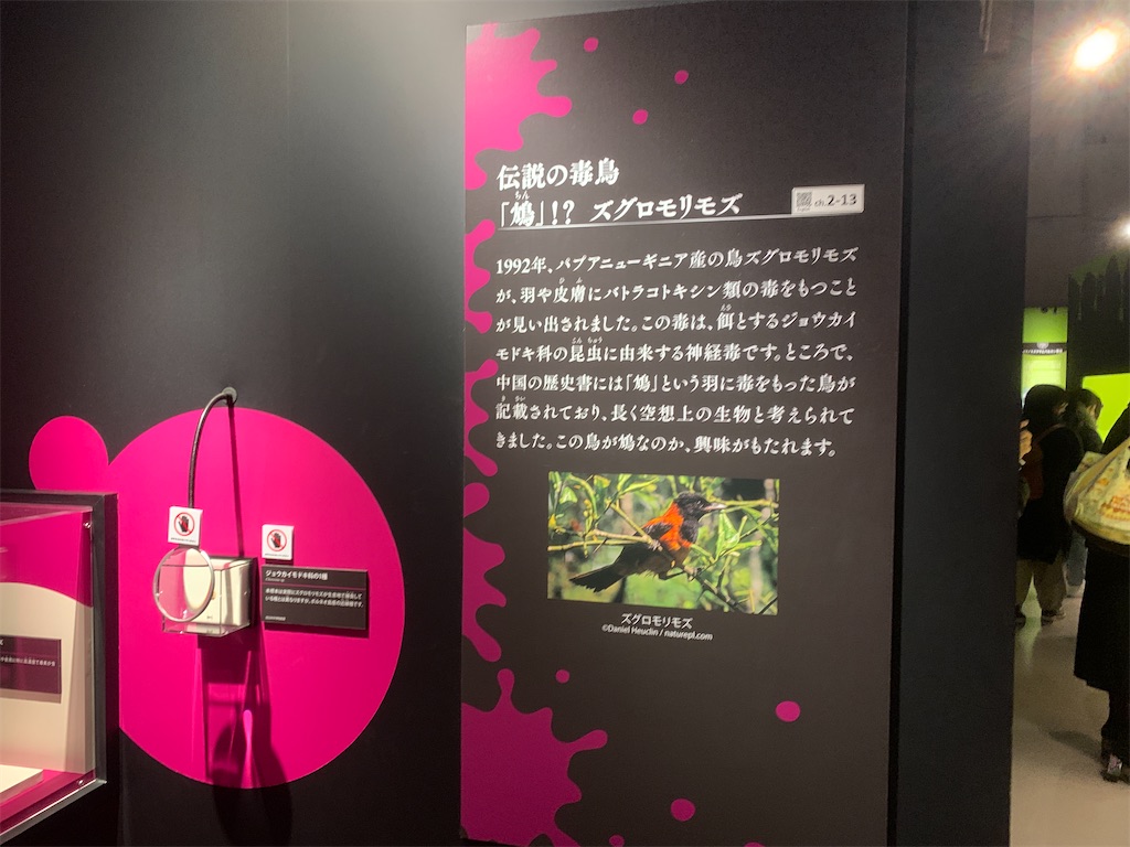 f:id:GK_GK21:20230218031400j:image