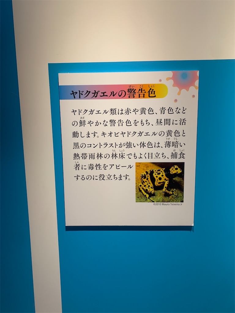 f:id:GK_GK21:20230218031427j:image