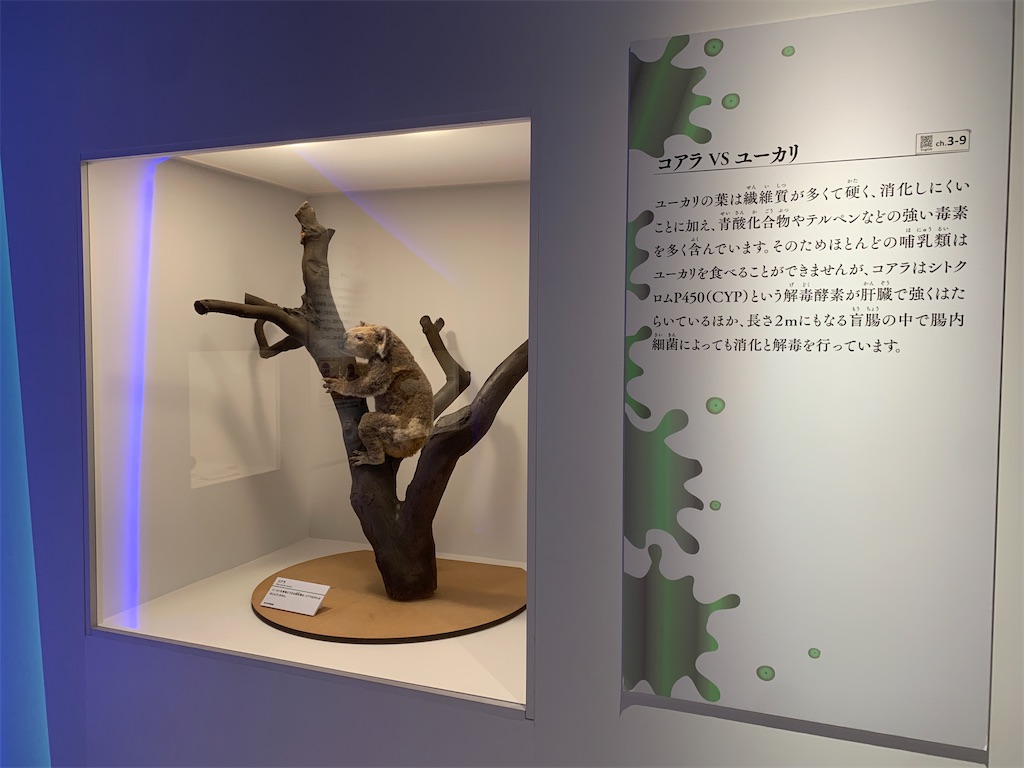 f:id:GK_GK21:20230218031433j:image