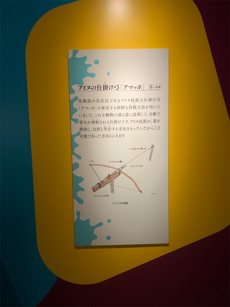 f:id:GK_GK21:20230218031450j:image