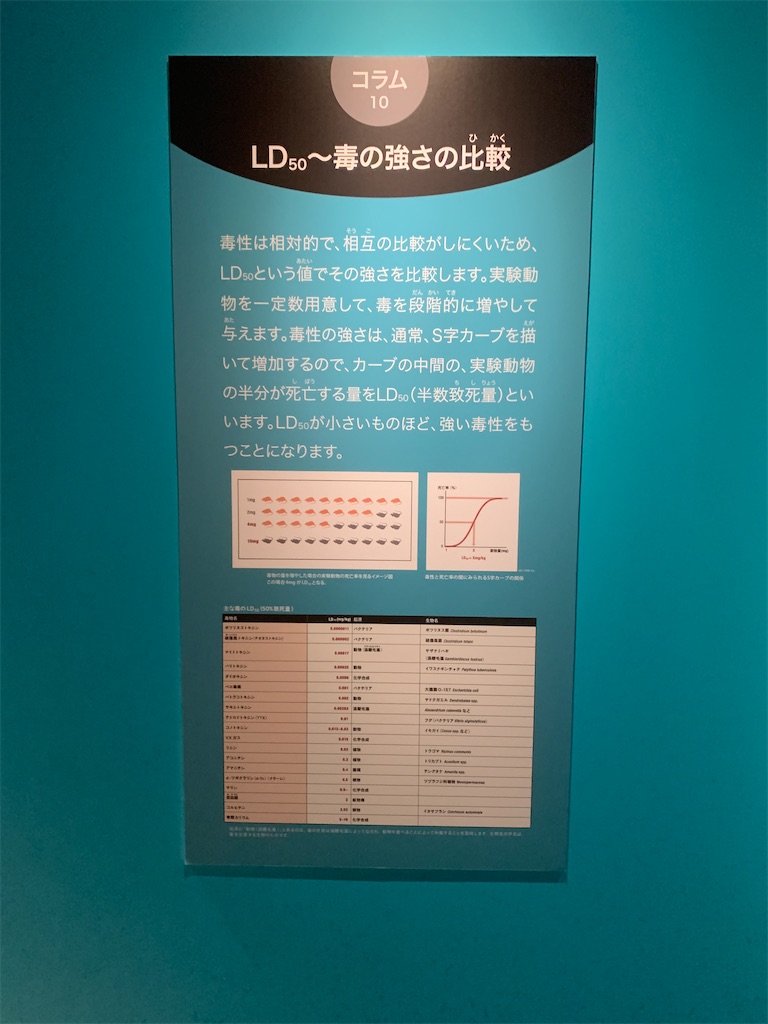 f:id:GK_GK21:20230218031502j:image