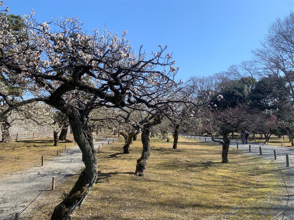 f:id:GK_GK21:20230228164828j:image