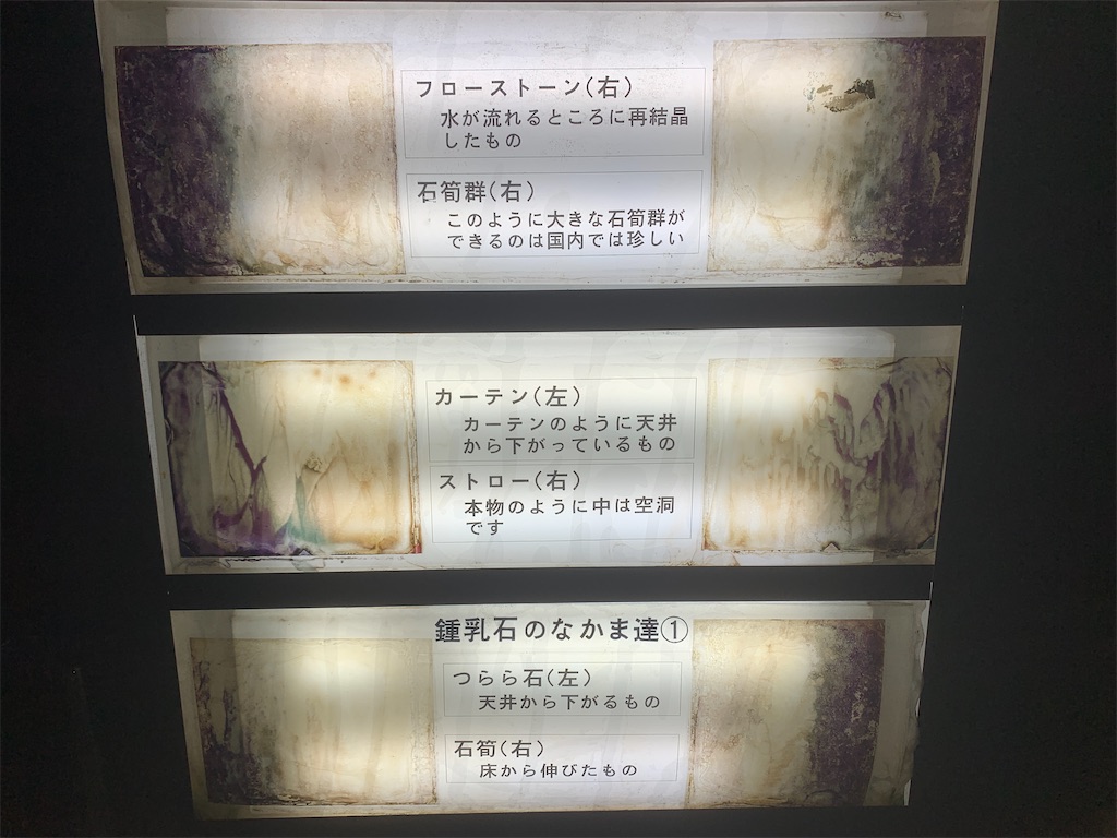 f:id:GK_GK21:20230322143401j:image f:id:GK_GK21:20230322143401j:image