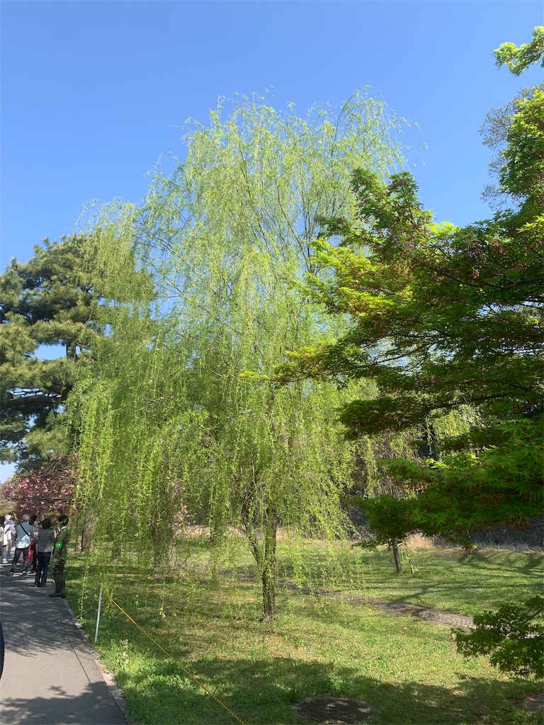 f:id:GK_GK21:20230401144954j:image f:id:GK_GK21:20230401144954j:image