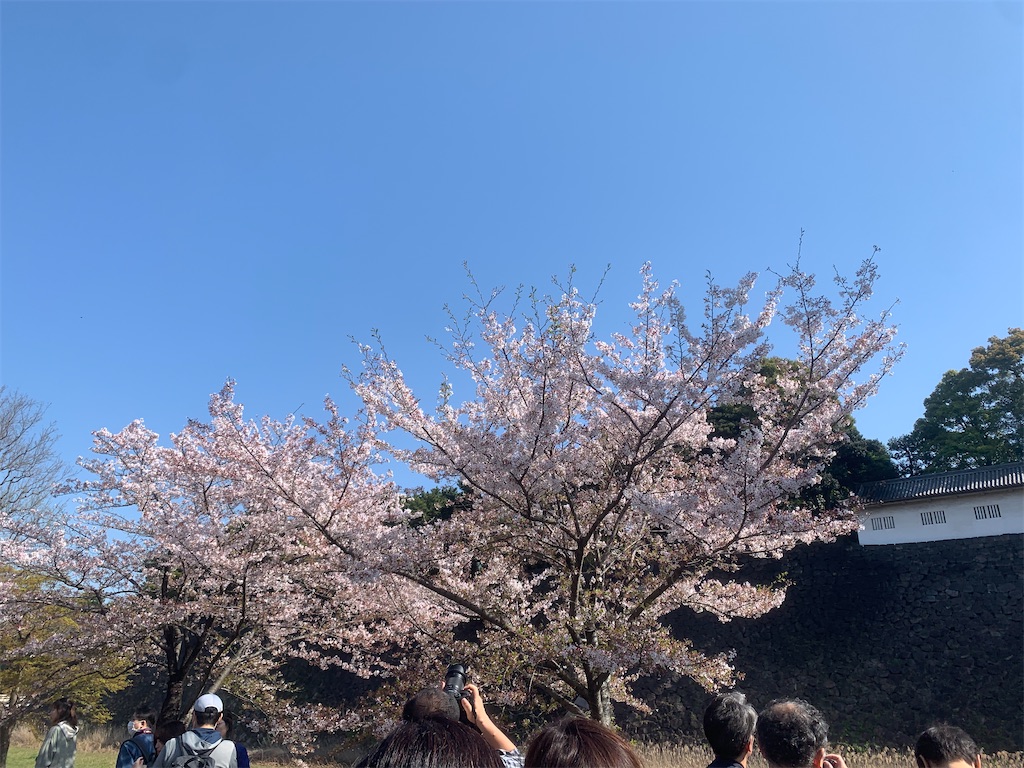 f:id:GK_GK21:20230401145010j:image f:id:GK_GK21:20230401145010j:image