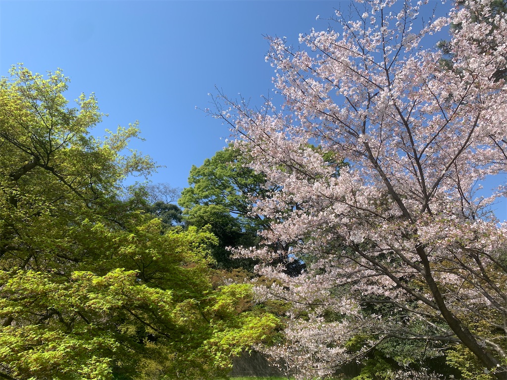 f:id:GK_GK21:20230401145024j:image f:id:GK_GK21:20230401145024j:image