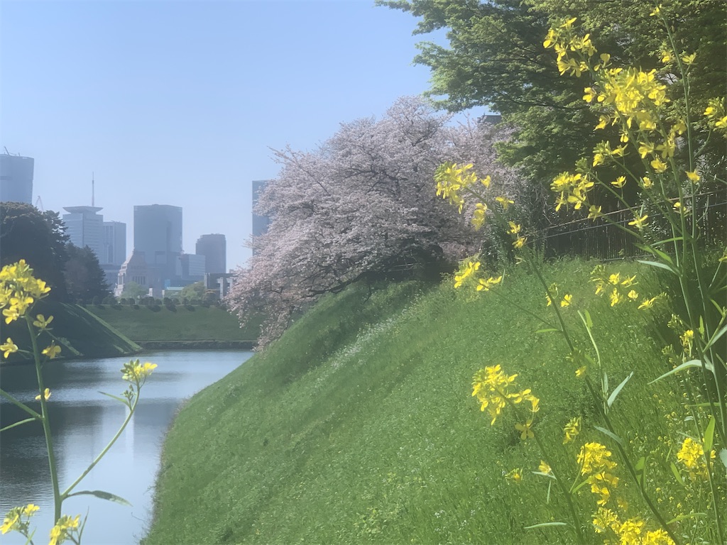 f:id:GK_GK21:20230402114720j:image