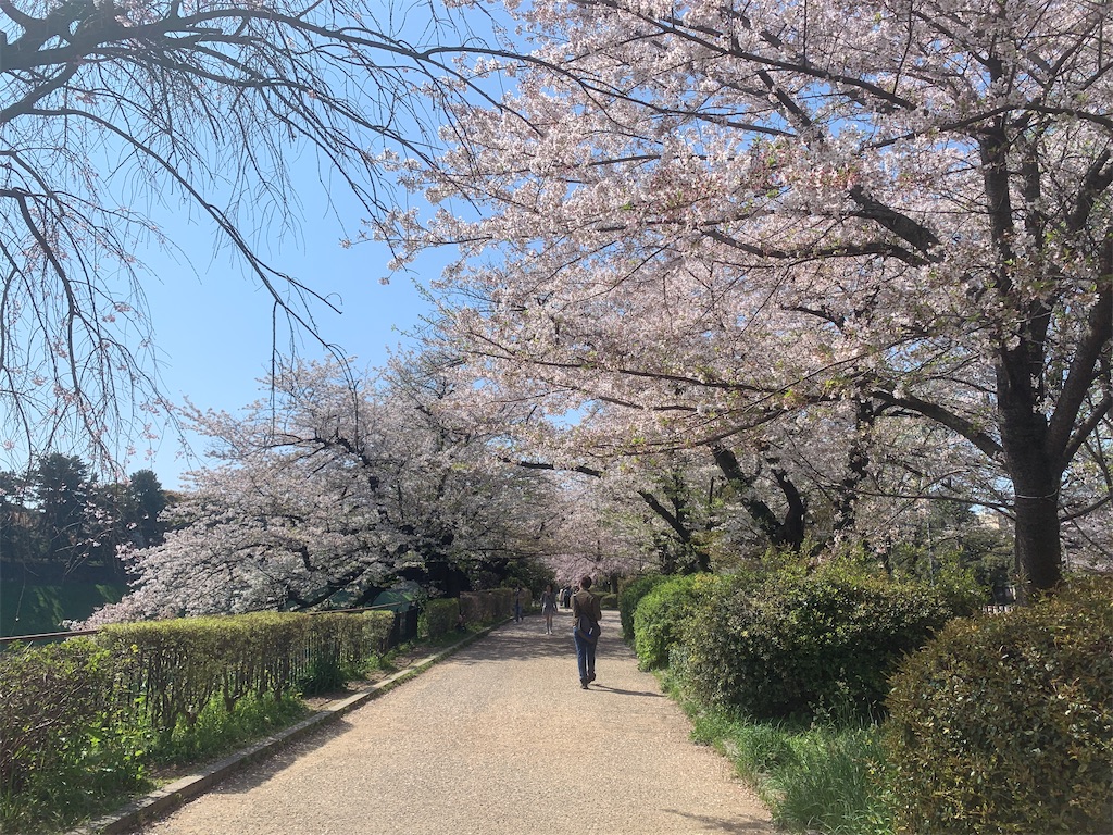 f:id:GK_GK21:20230402114726j:image