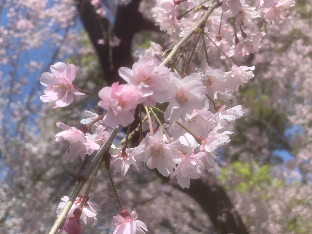 f:id:GK_GK21:20230402114729j:image